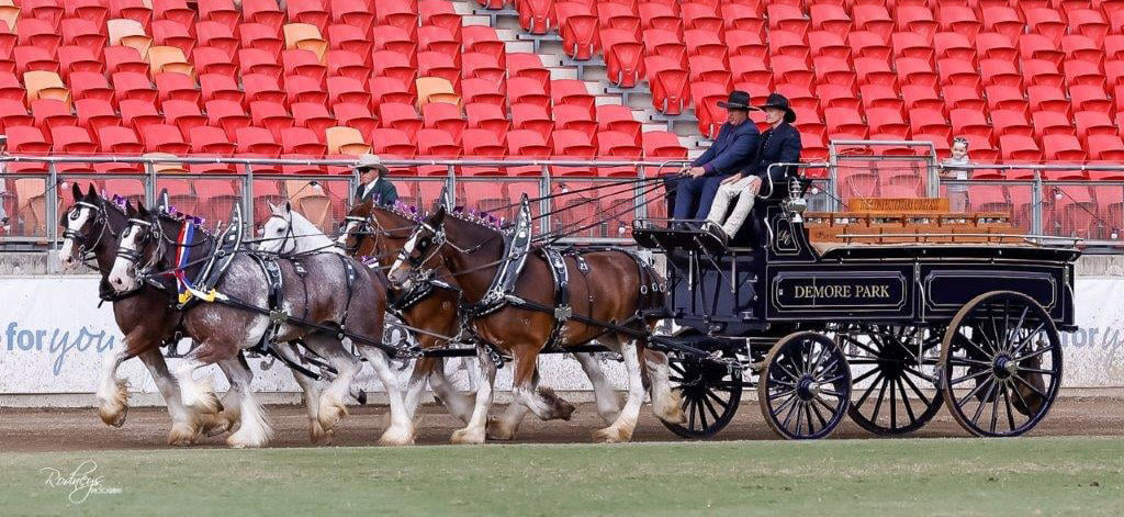 Tullymore Clydesdale and Shire Horse Stud, Merriwa, Western Australia